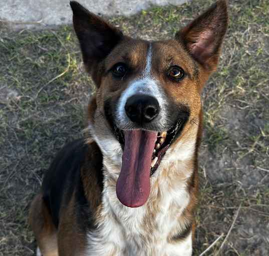 Photo of Flauta