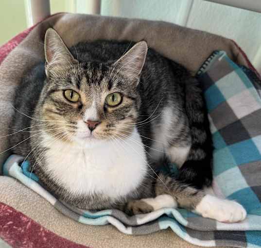 Photo of MacGregor