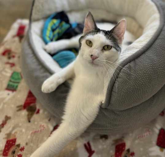 Photo of Elliot