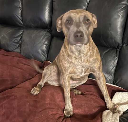 Photo of Maya
