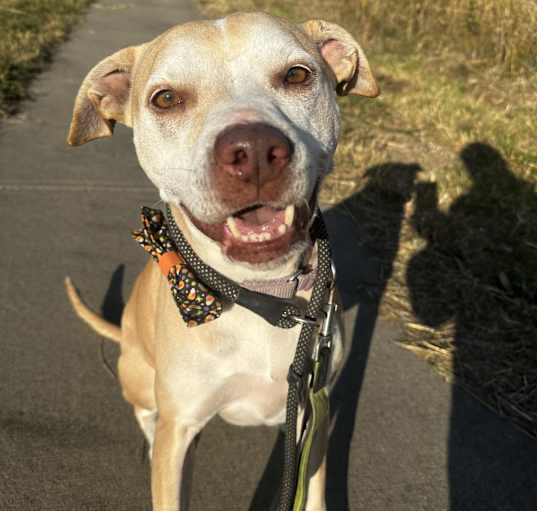 Photo of Eclipse
