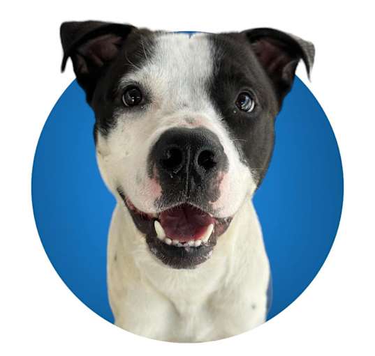 Photo of Ghost