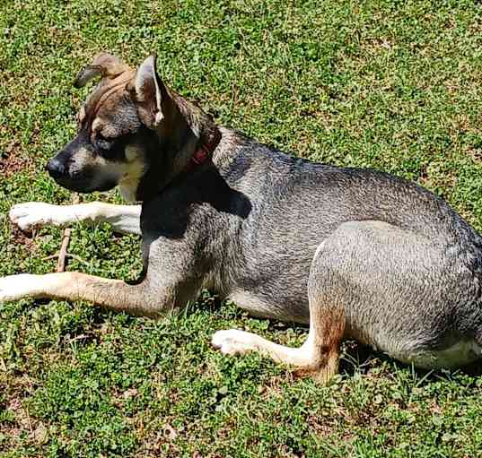 Photo of Merryweather