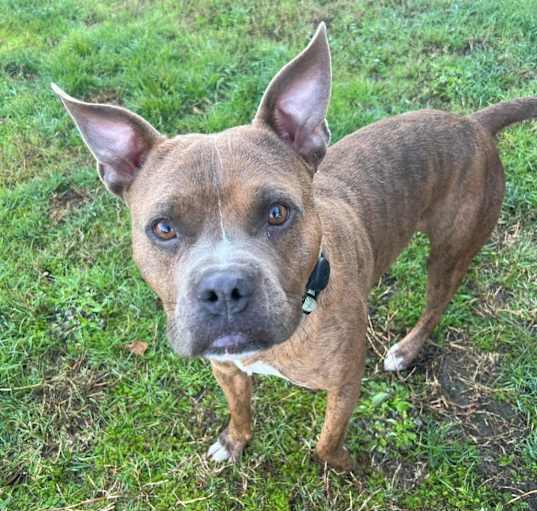 Photo of Buster