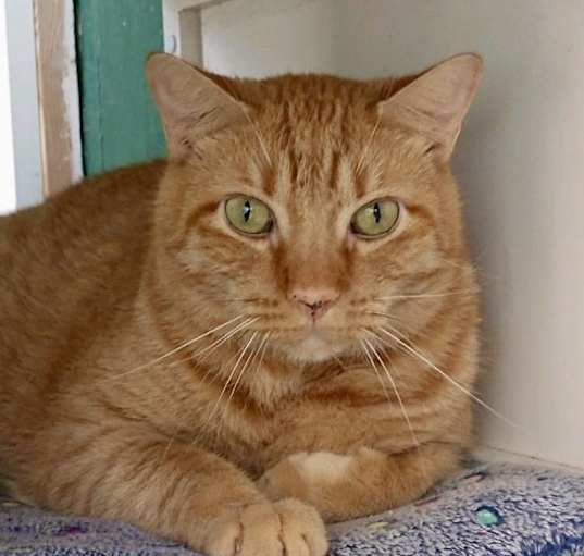 Photo of Mason