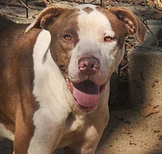 Photo of Klaus