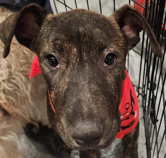 Photo of Ketch aka Kyle A4949772