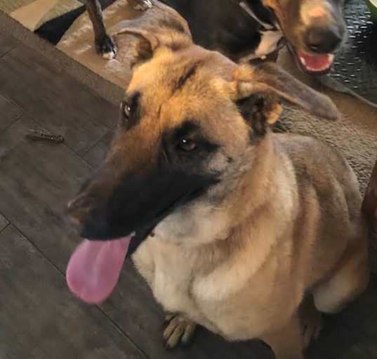 Photo of good girl amber