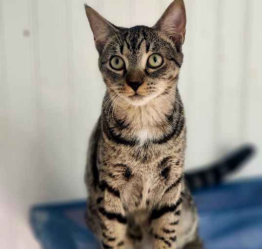 Photo of Asher