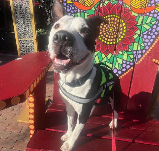 Photo of Queso