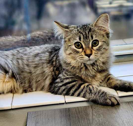 Photo of Spirit