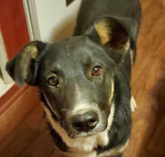 Photo of Frankie