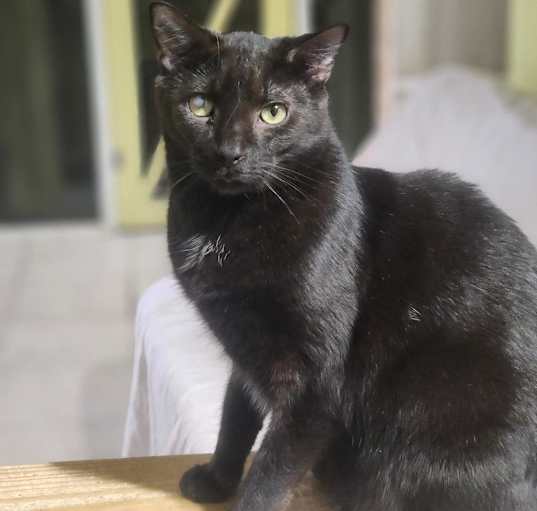 Photo of Frodo