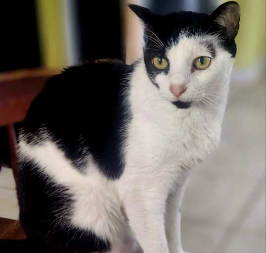 Photo of Lucy