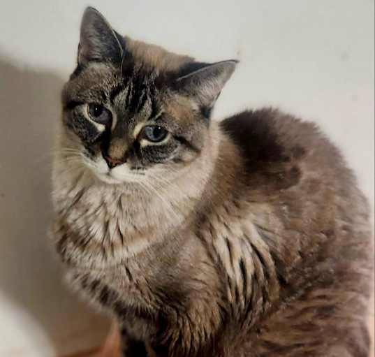 Photo of Laverne