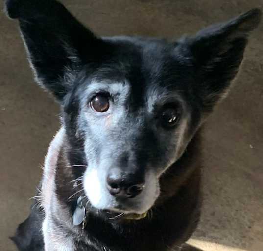 Photo of Elsa