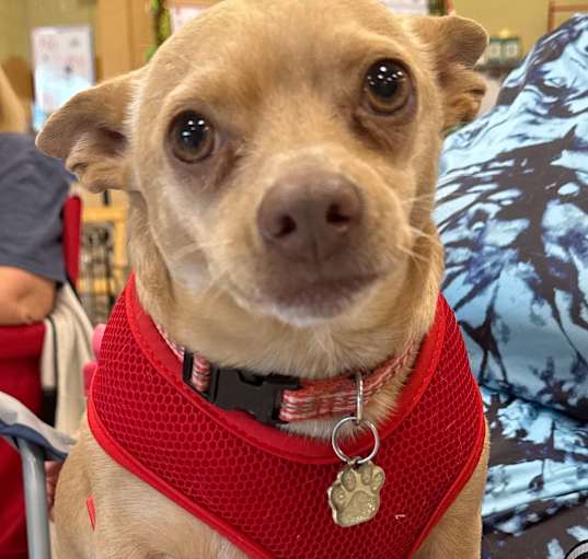Photo of Buster