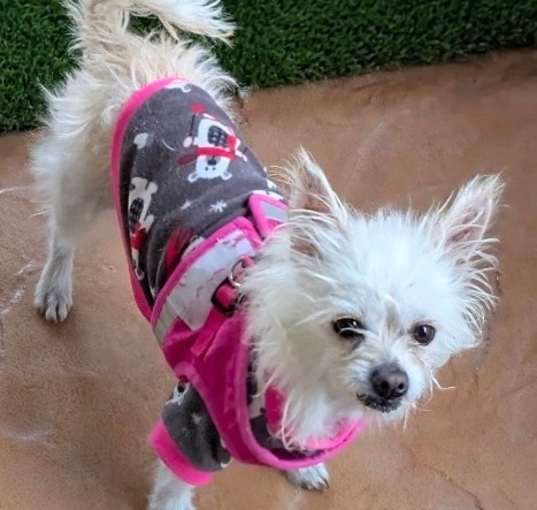 Photo of Chloe