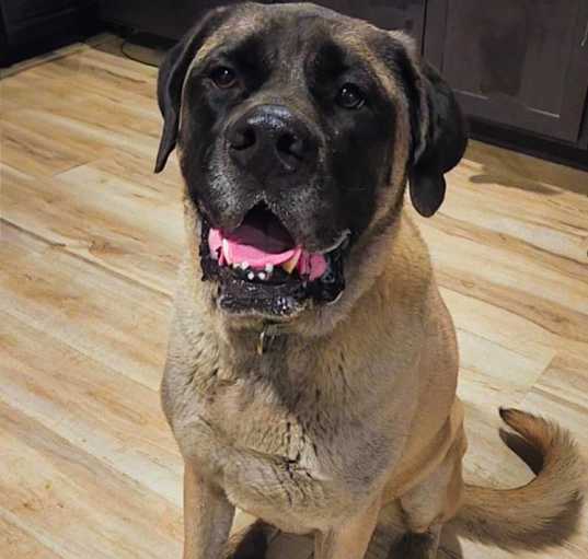 Photo of Bellatrix aka "Willow Eliza"
