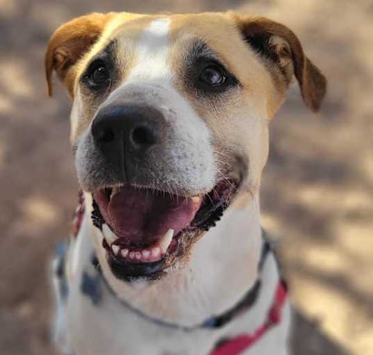 Photo of Junie