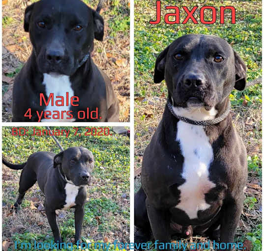 Photo of Jaxon