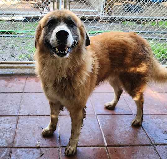 Photo of Hercules