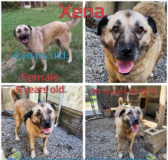 Photo of Xena