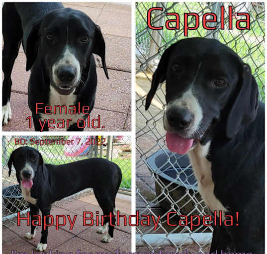 Photo of Capella