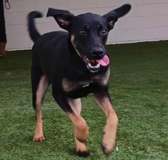 Photo of Maggie