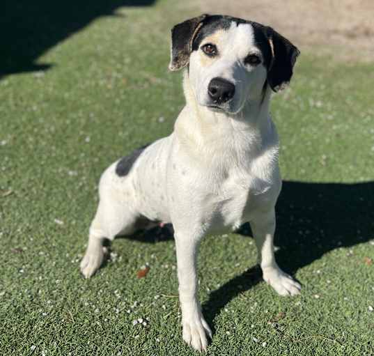 Photo of Tesla