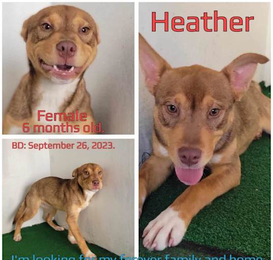 Photo of Heather