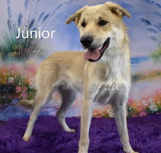 Photo of Junior