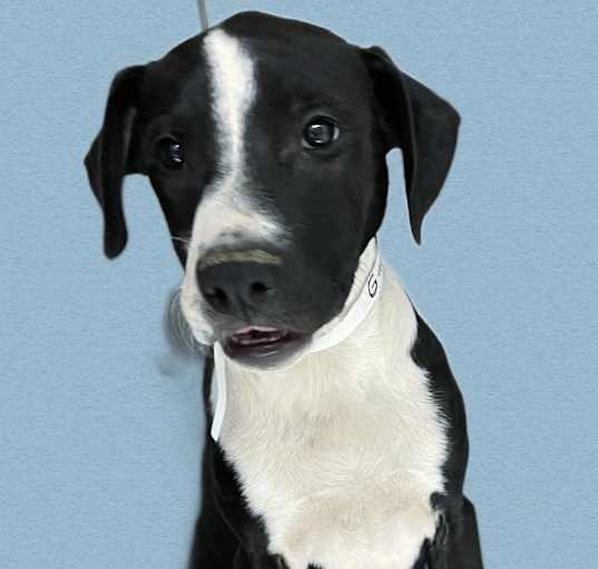 Photo of Gucci