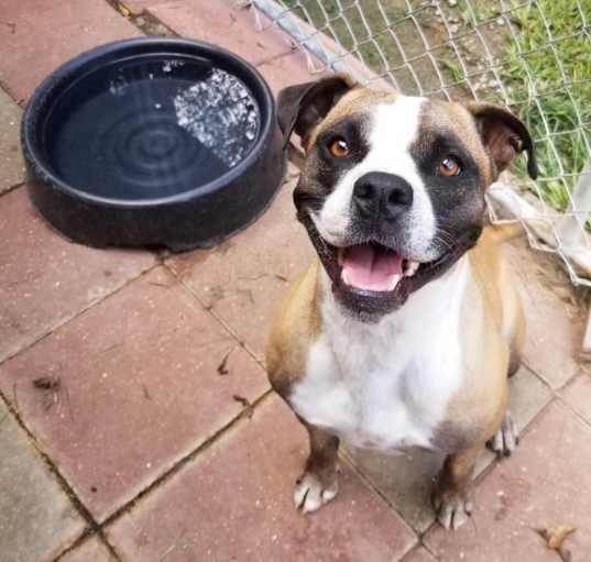 Photo of Mitzi