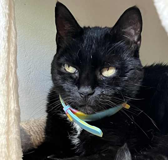 Photo of Edna