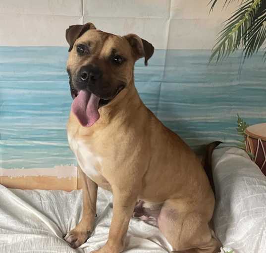 Photo of Tank