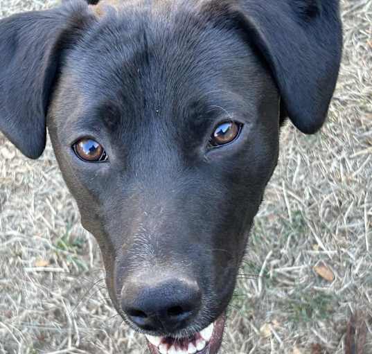 Photo of MILO