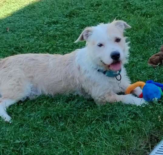 Photo of FALCOR now CONNER