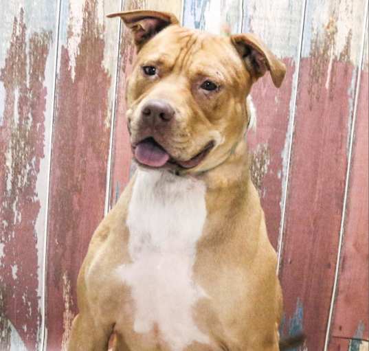 Photo of Turbo
