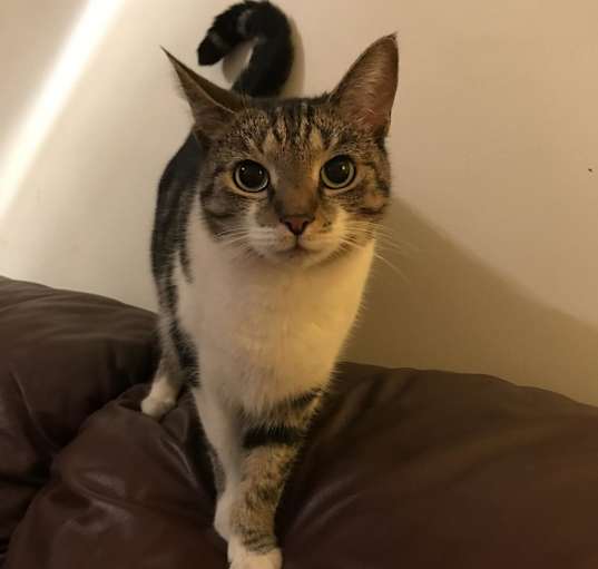 Photo of Maybel