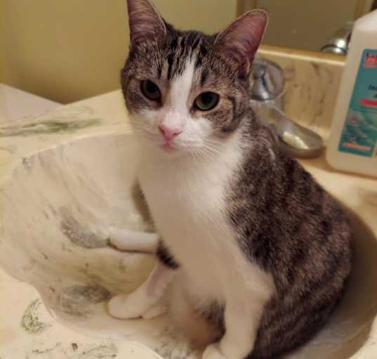 Photo of Cleo