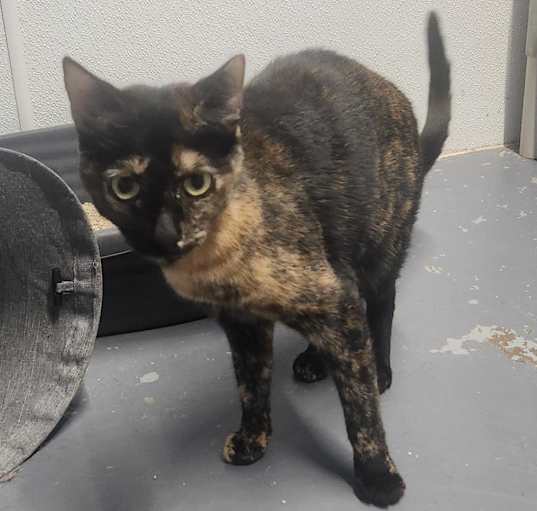 Photo of Edna