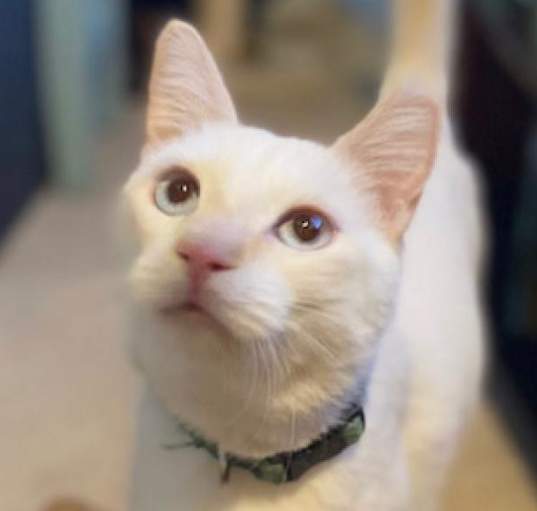 Photo of Jeffrey