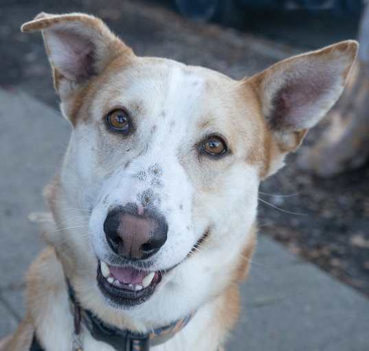 Photo of TUCK