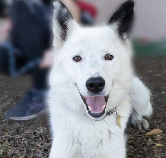 Photo of LOKI