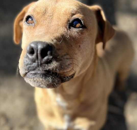 Photo of SUGAR POP