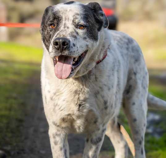 Photo of GUINNESS