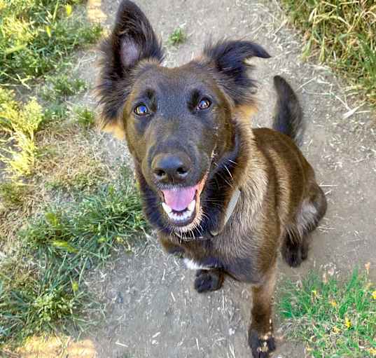 Photo of OLIVE