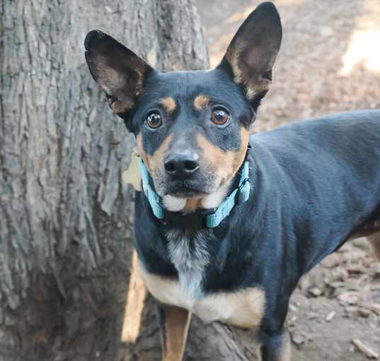 Photo of MAXIE