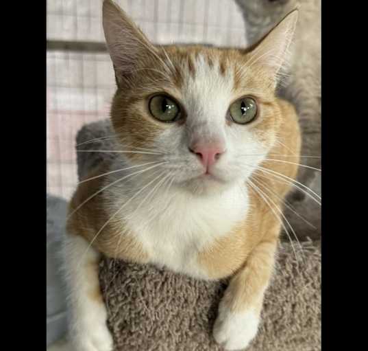 Photo of Timmy